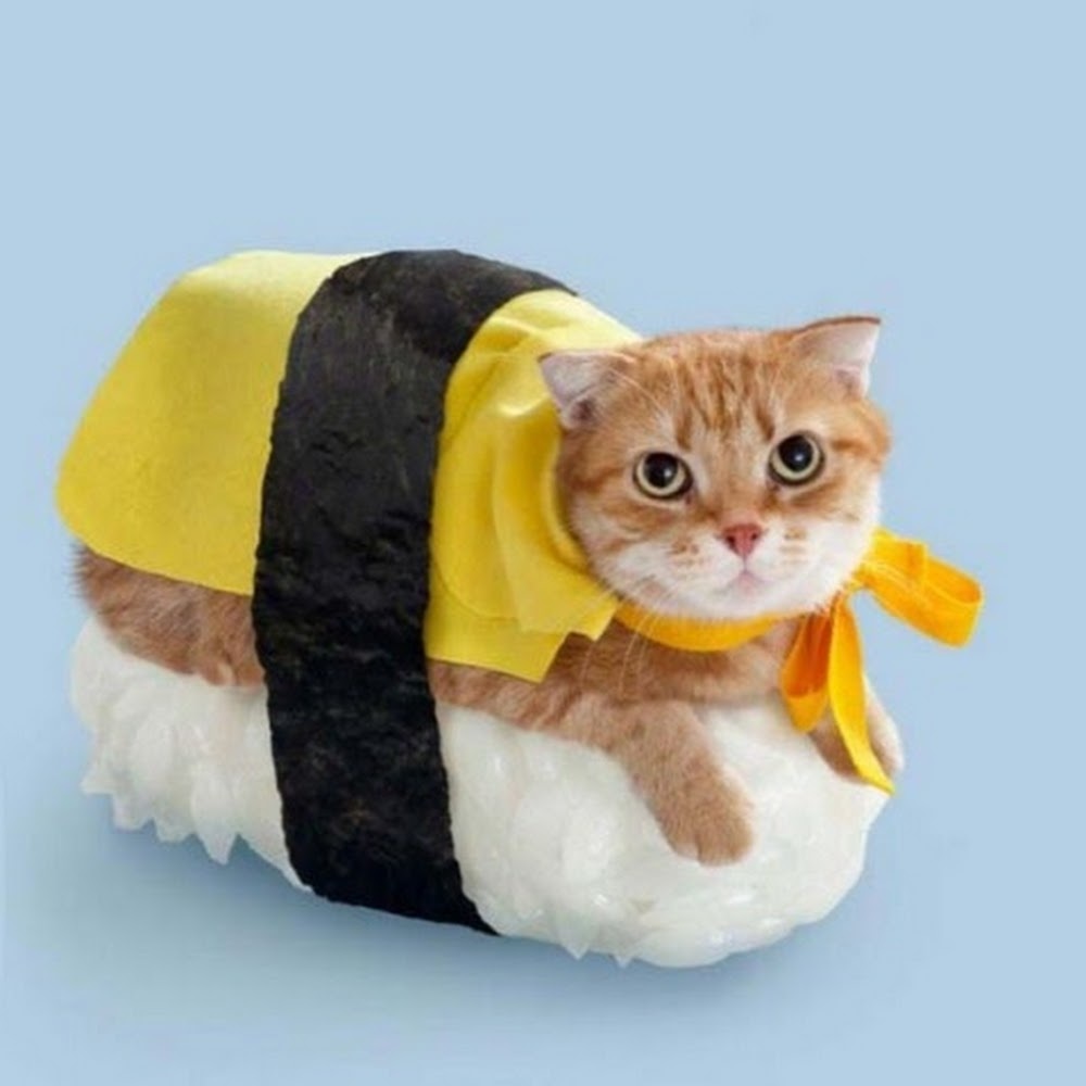 Meet your Posher, Alana